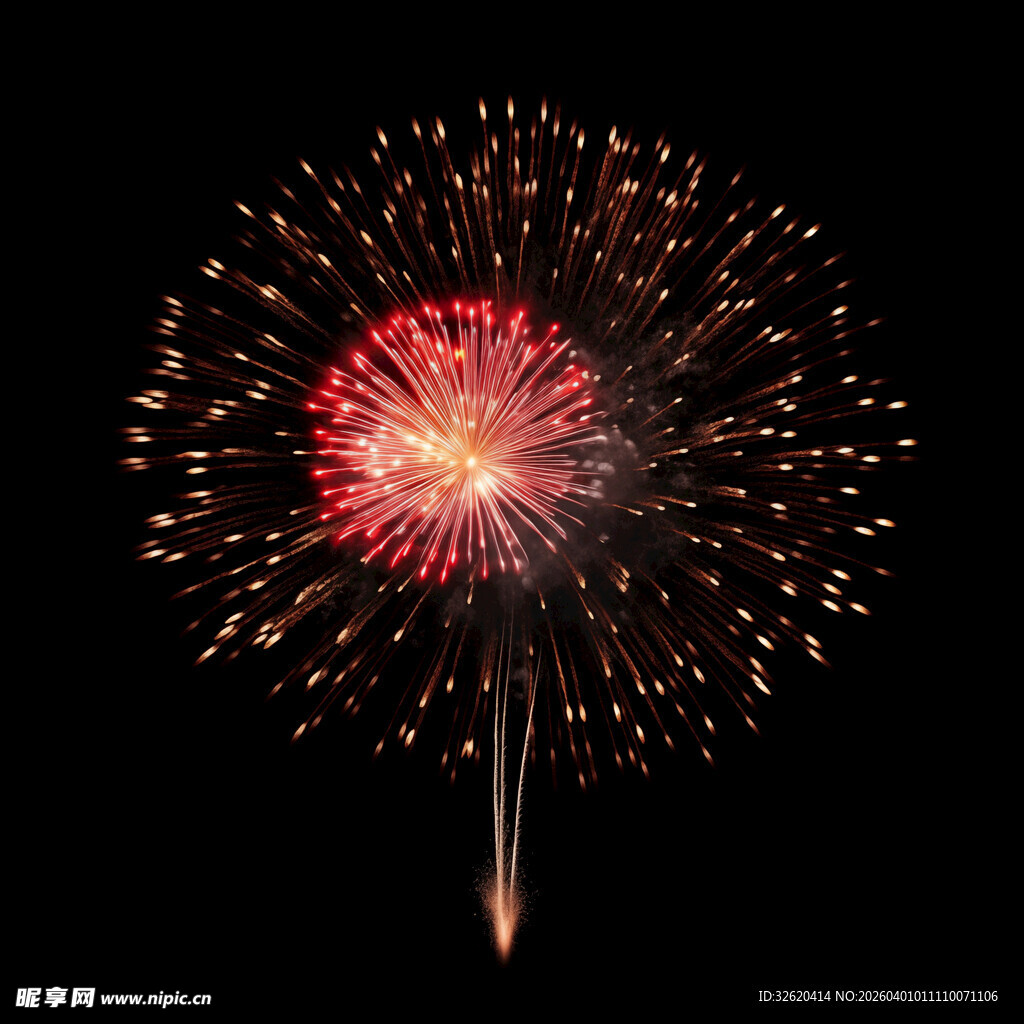 夜空中绽放的绚丽烟花