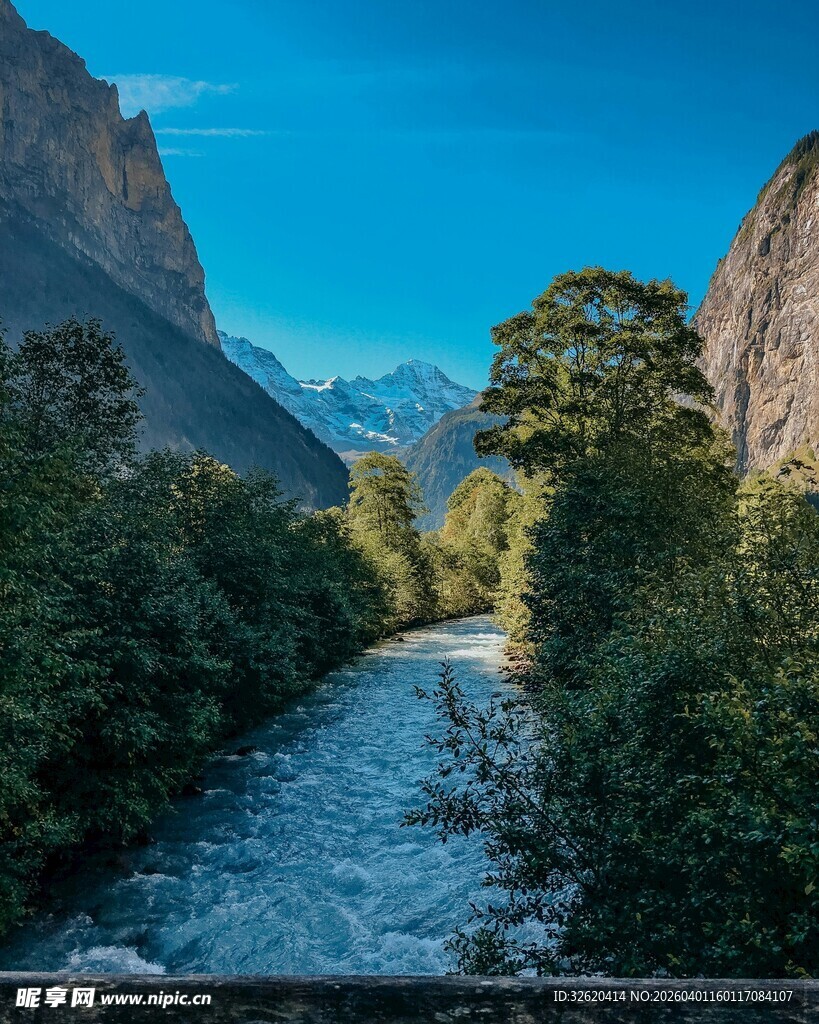 山间溪流穿林而过