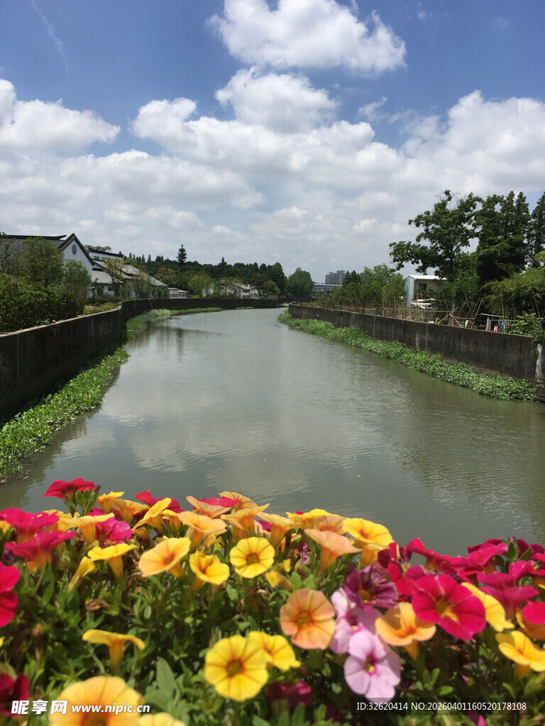 河畔繁花绽放的美丽景致