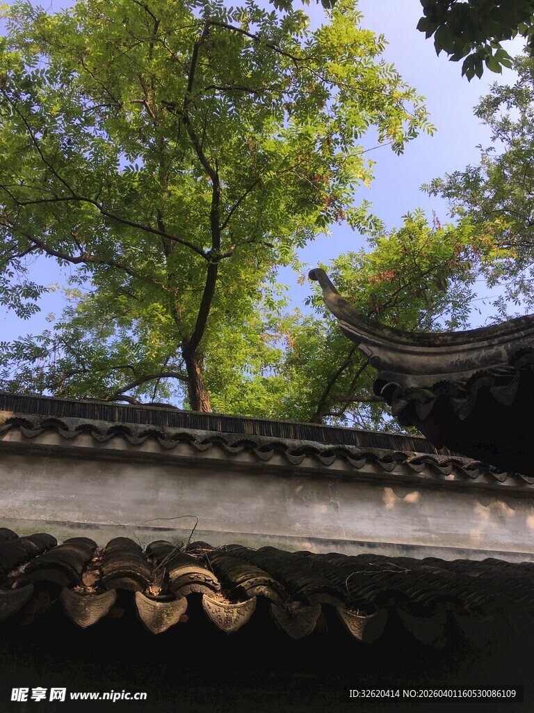 古屋檐下的绿树蓝天