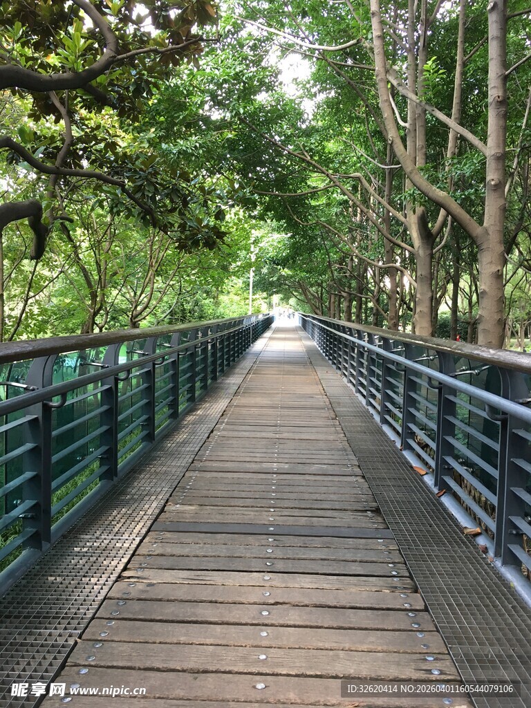 林间木栈道