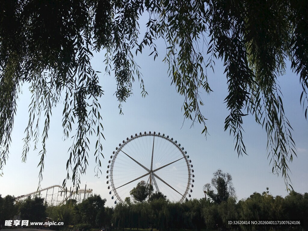 湖畔垂柳下的摩天轮景观
