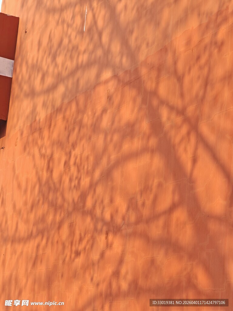 墙上树影斑驳的独特景象