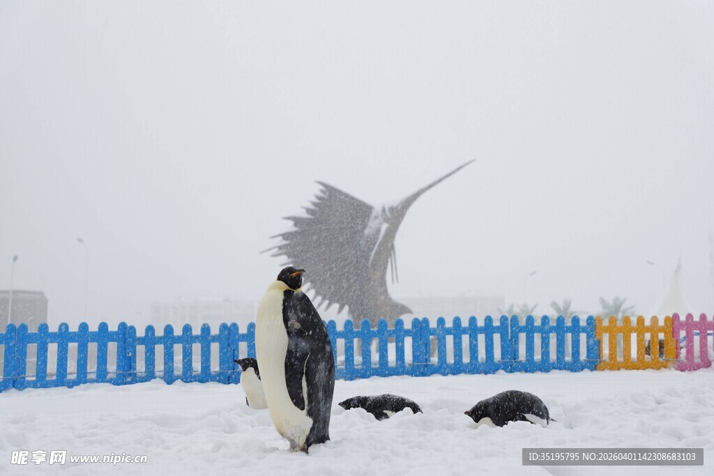 雪地中人与狗的温馨场景