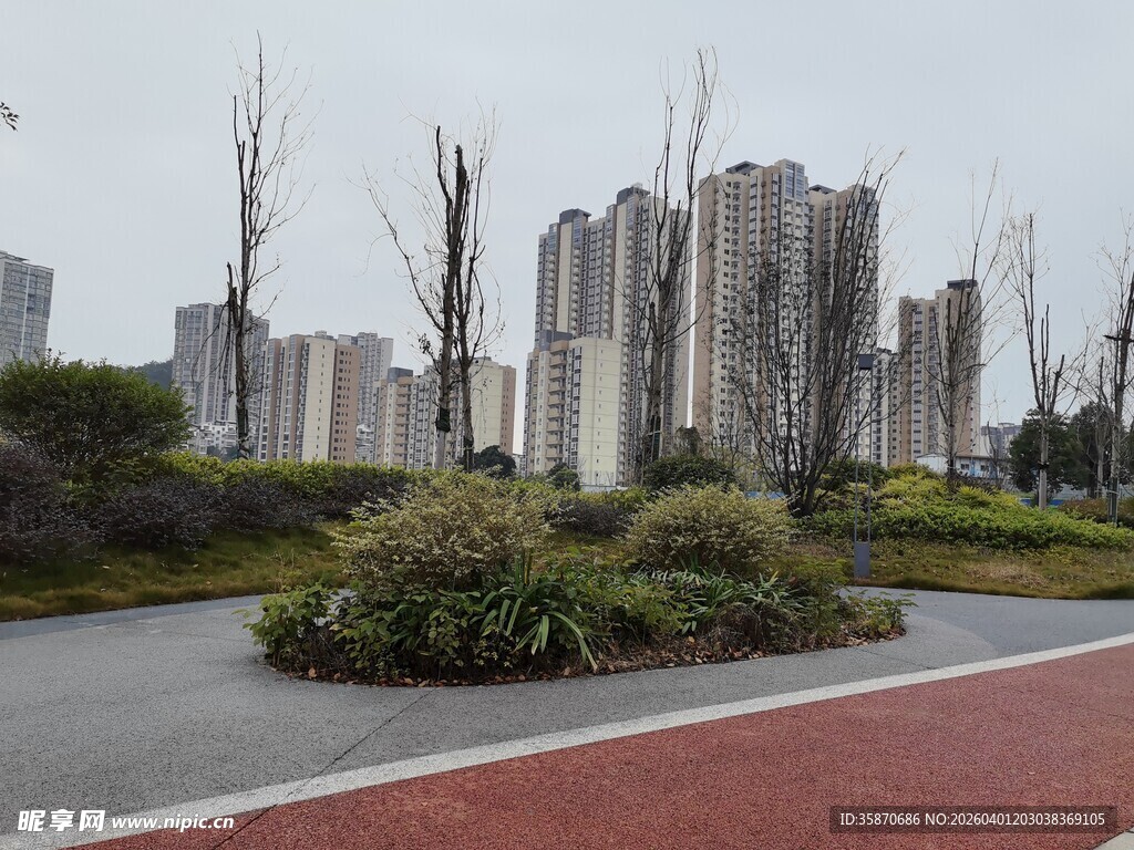 城市中的绿化景观与建筑