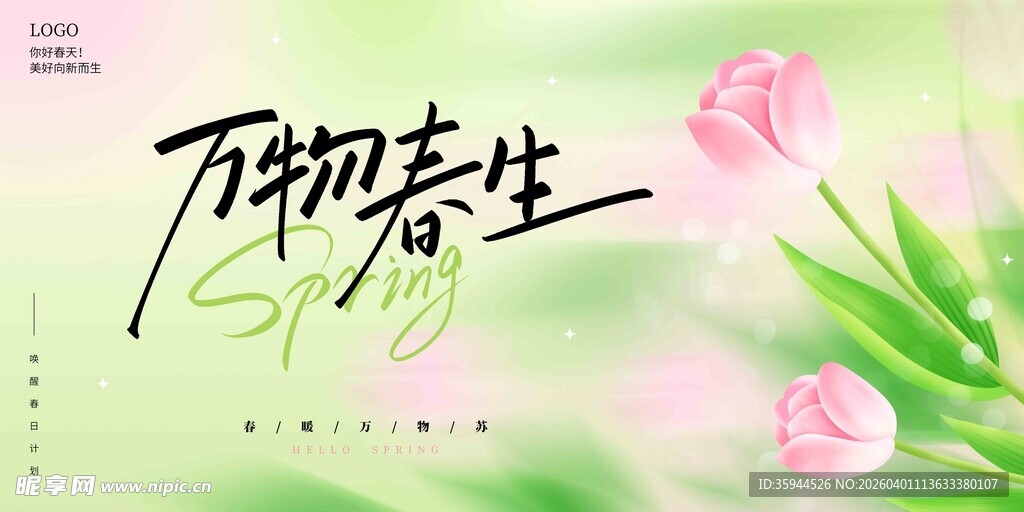 万物萌春 郁金香绽放 春天