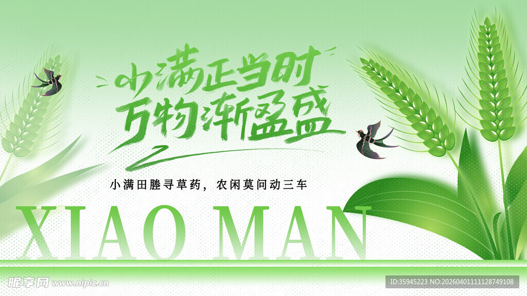 小满时节乡村新景象