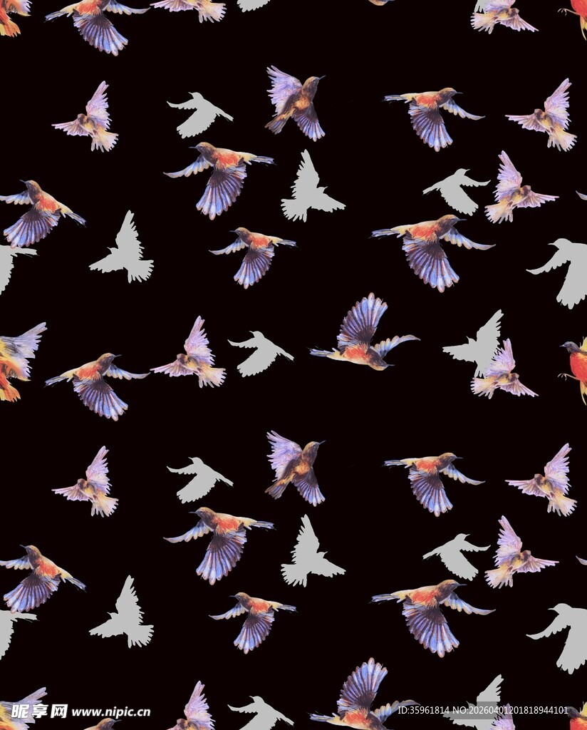 飞鸟在黑色背景上的图案