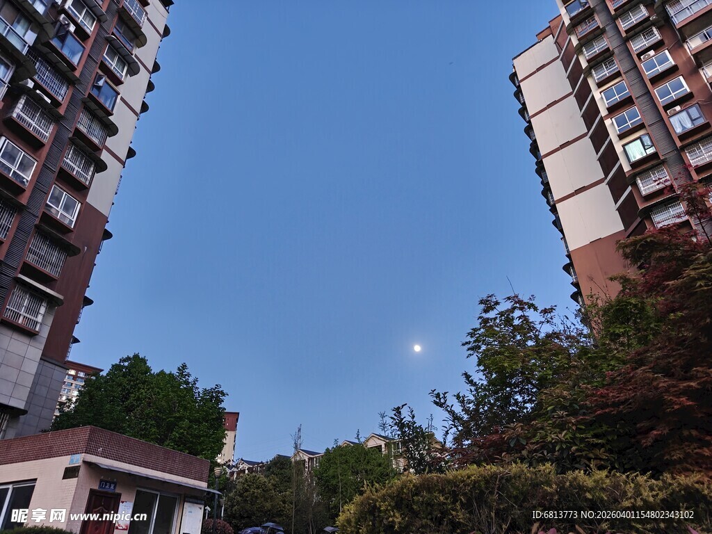 高楼间的蓝天与绿植