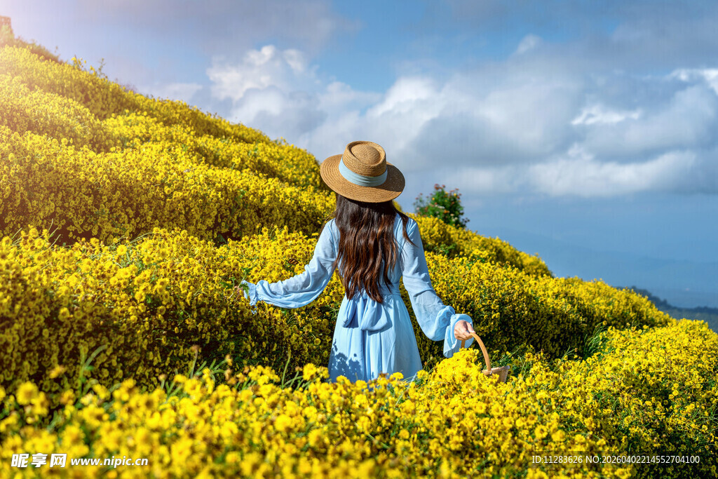 漫步花海的女孩