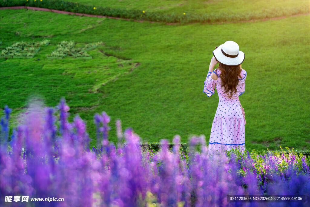 漫步薰衣草田的优雅女子