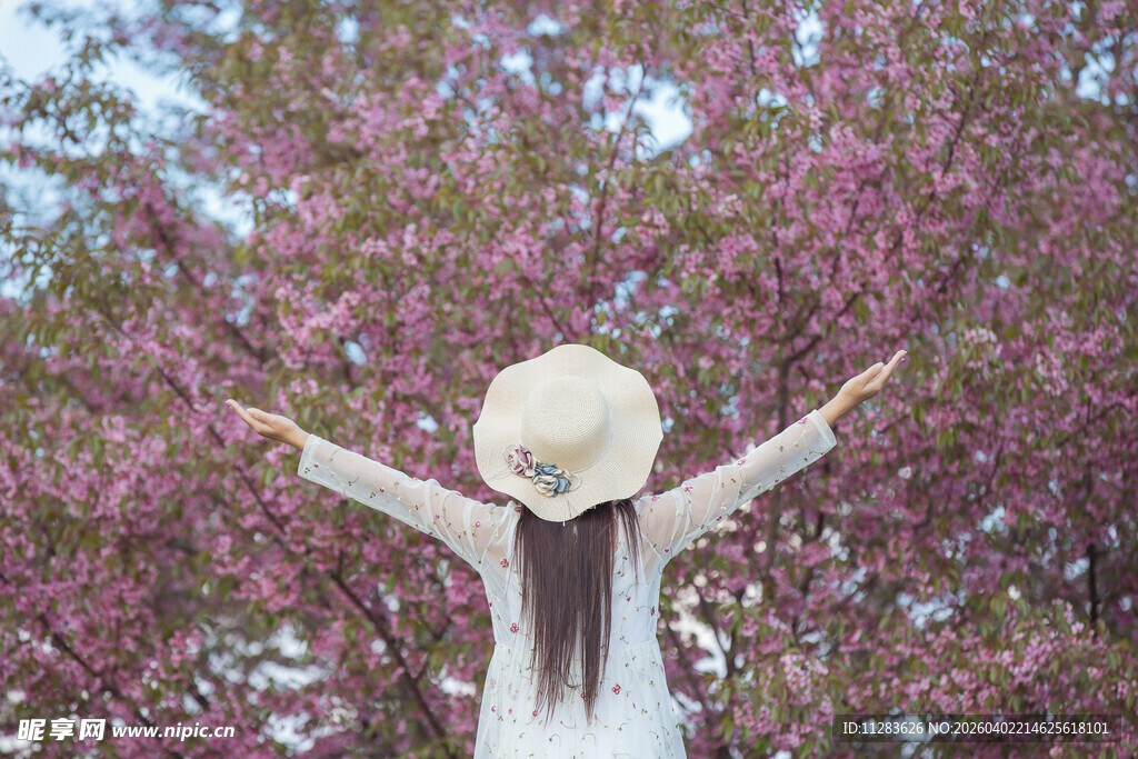 漫步花海的优雅女子