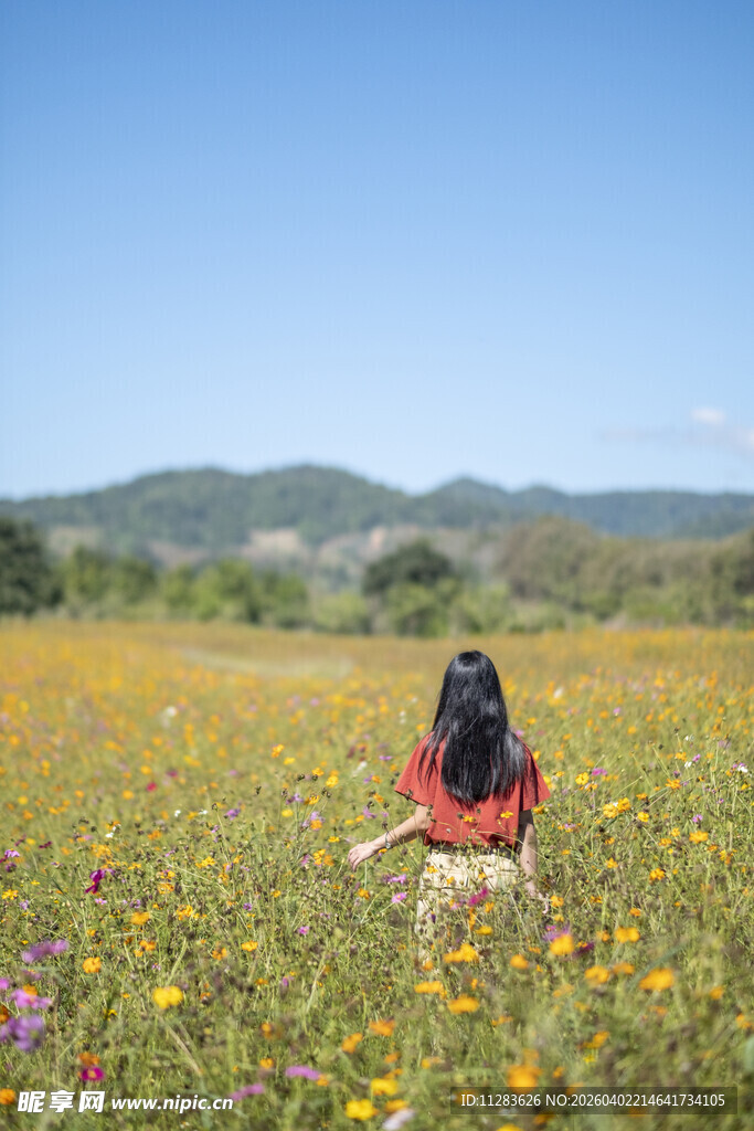 女孩置身绚烂花海中