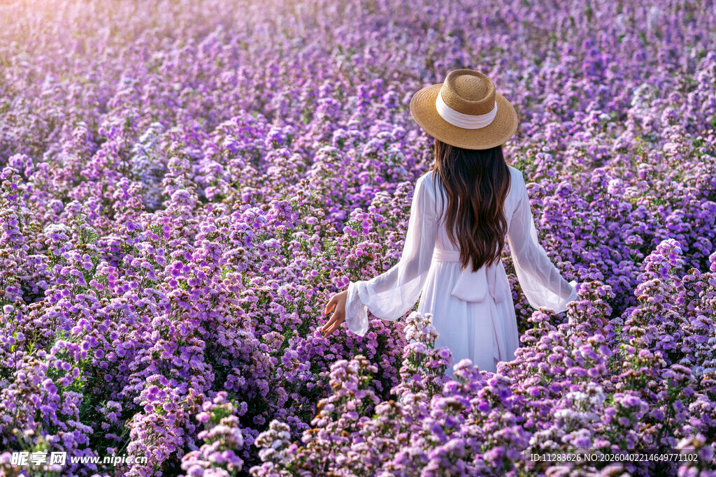 女孩置身紫色花海中