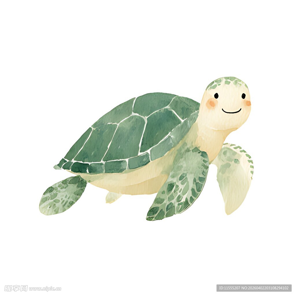 可爱小海龟插画