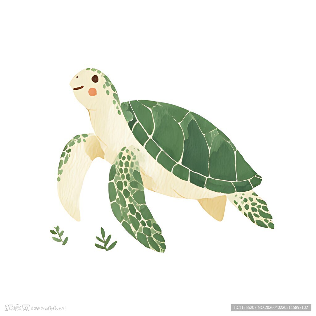 可爱绿海龟插画