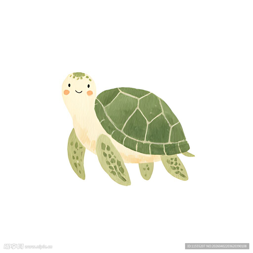 可爱海龟插画