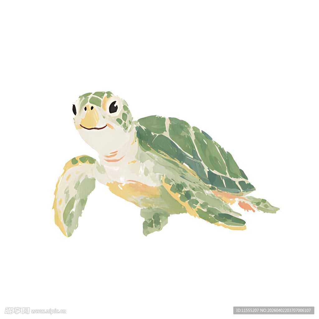 可爱水彩风小海龟