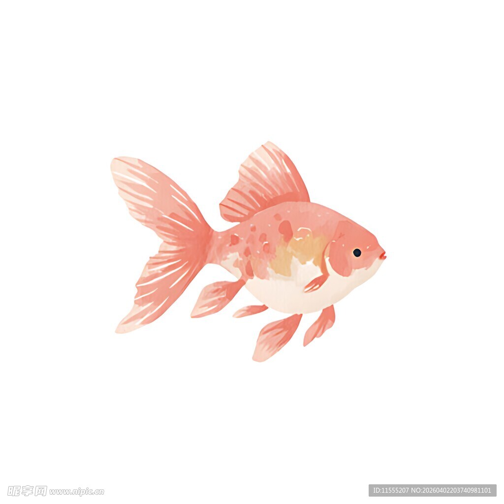 可爱金鱼插画