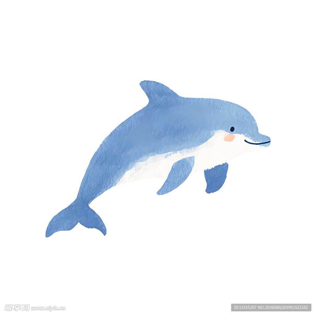 跳跃的蓝色海豚