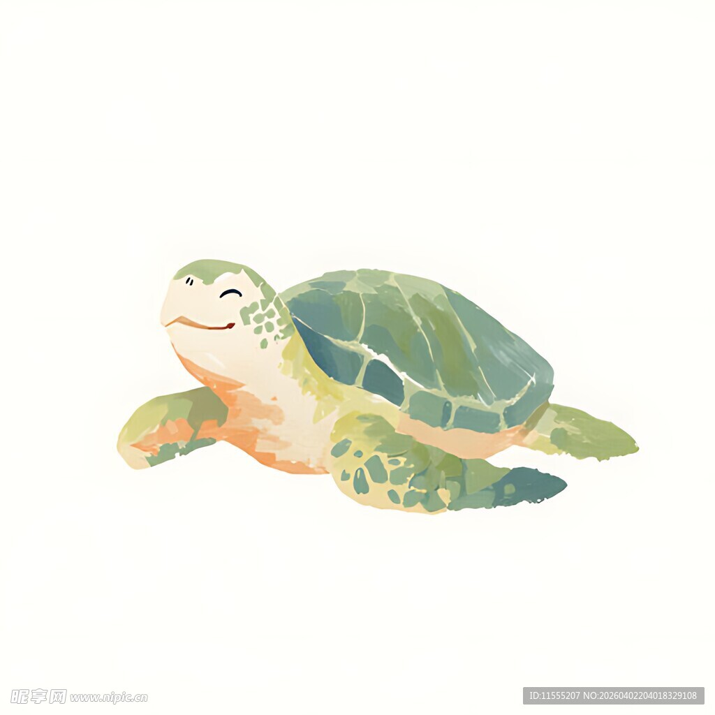 可爱水彩风小海龟