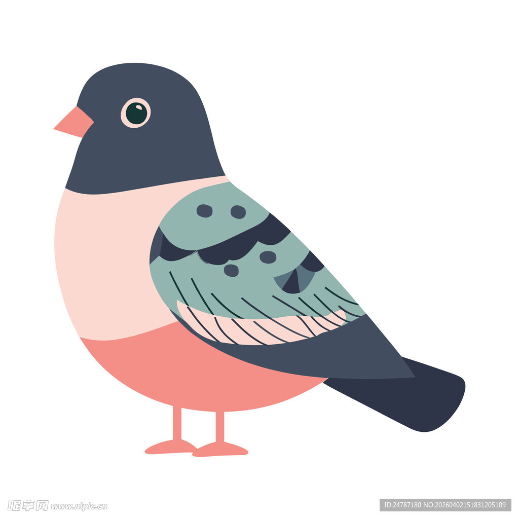 卡通鸽子