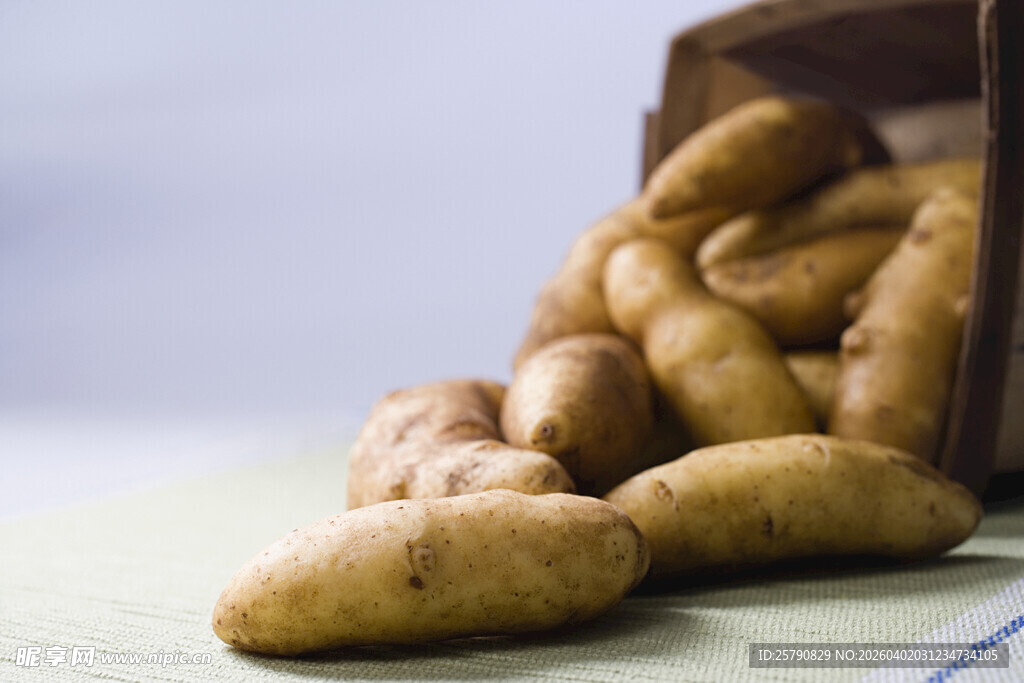 散落的美味土豆