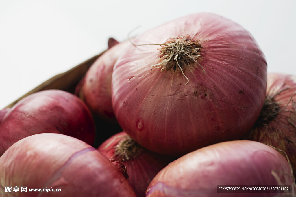 一堆新鲜紫皮洋葱