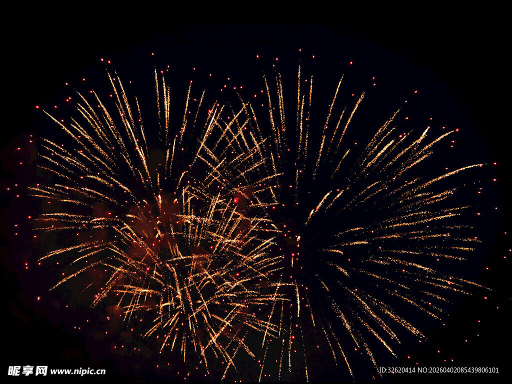 夜空中绚烂绽放的烟花