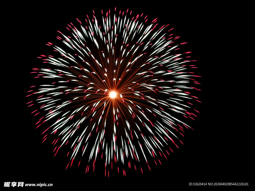 绚丽烟花绽放夜空