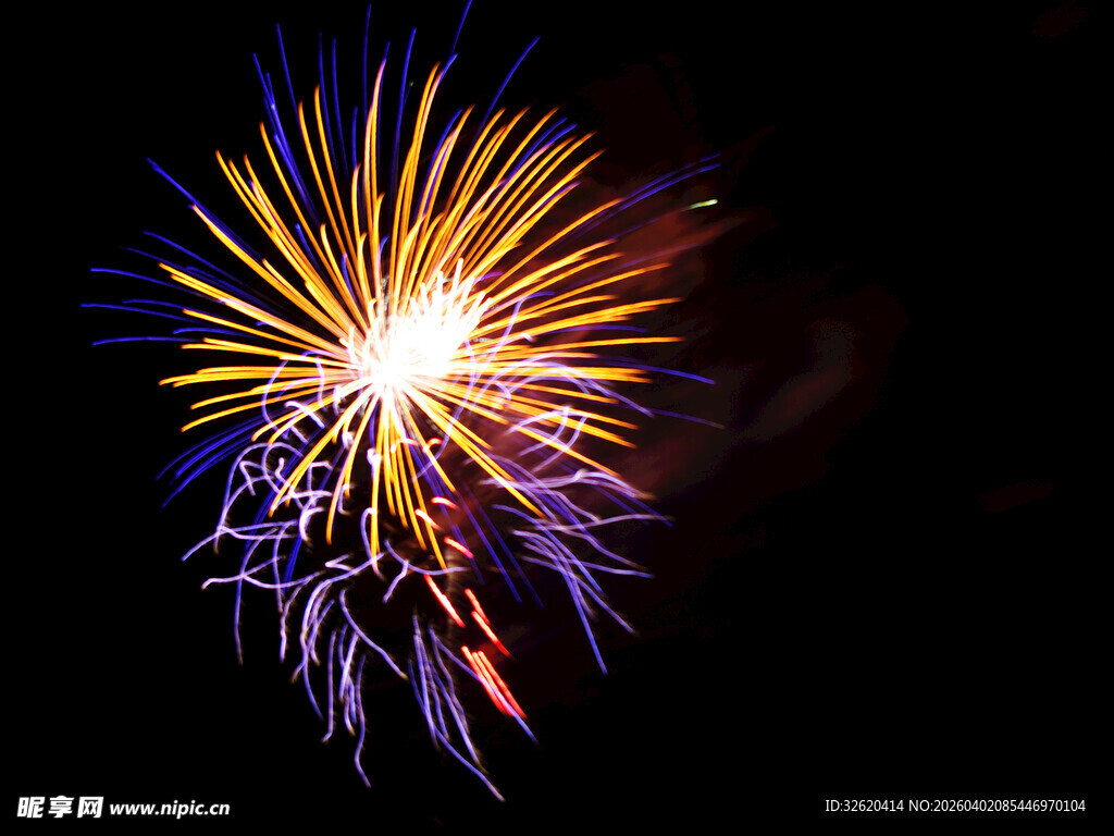 绚丽烟花绽放夜空