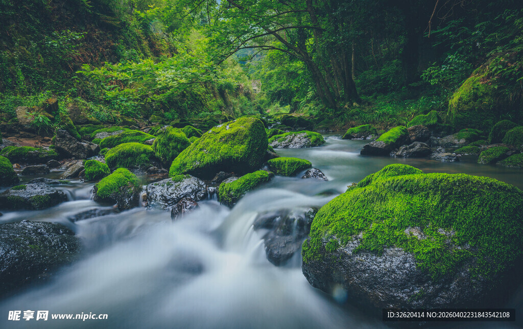 山间溪流潺潺