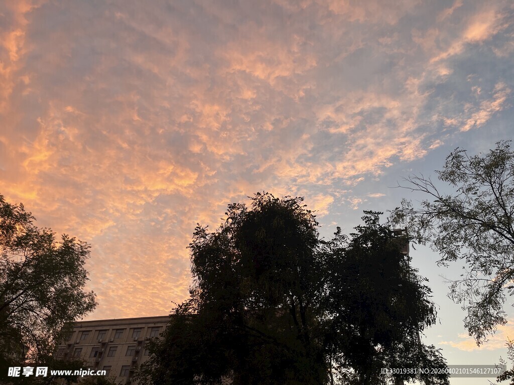 夕阳下的树木与绚丽云彩