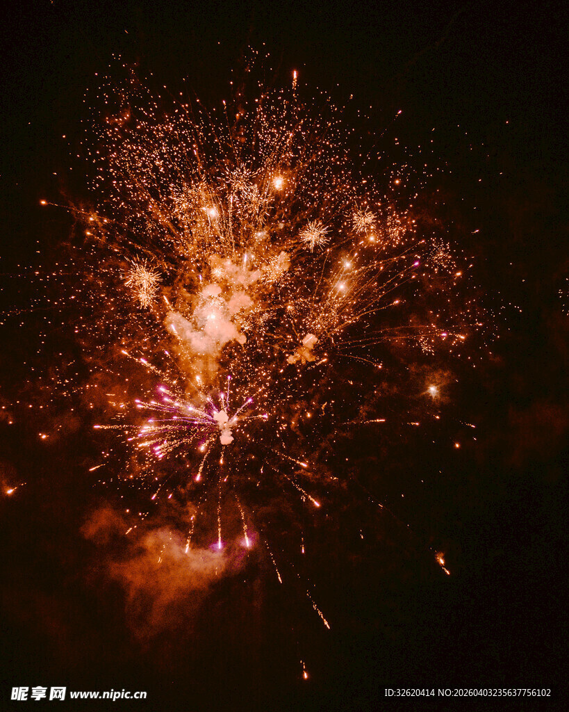 夜空中绚烂的烟花绽放