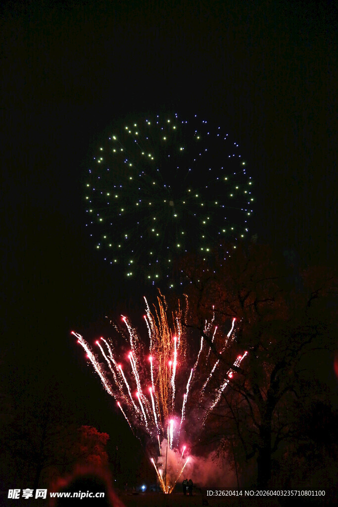 夜空中绚烂绽放的烟花