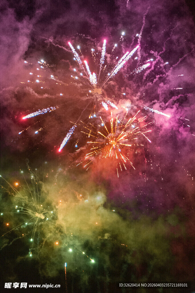 绚丽烟花绽放夜空