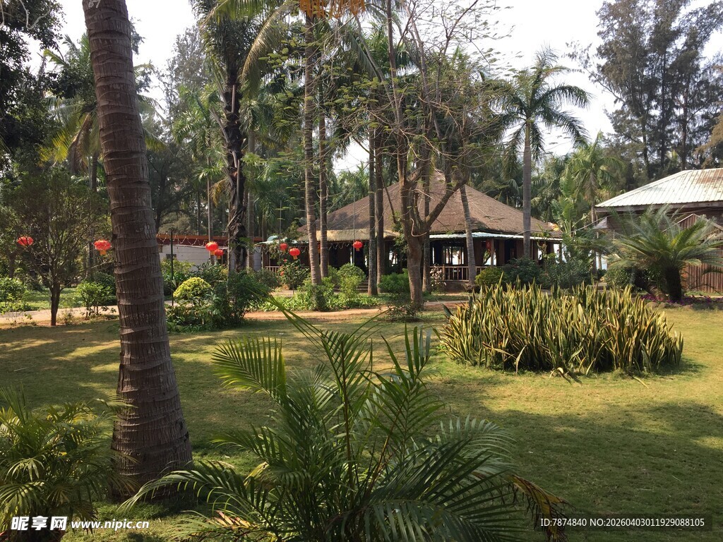 热带庭院景观绿植环绕