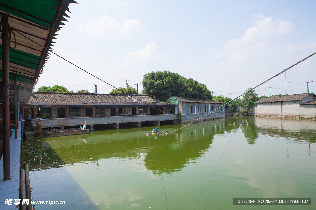 乡村宁静水塘及周边建筑