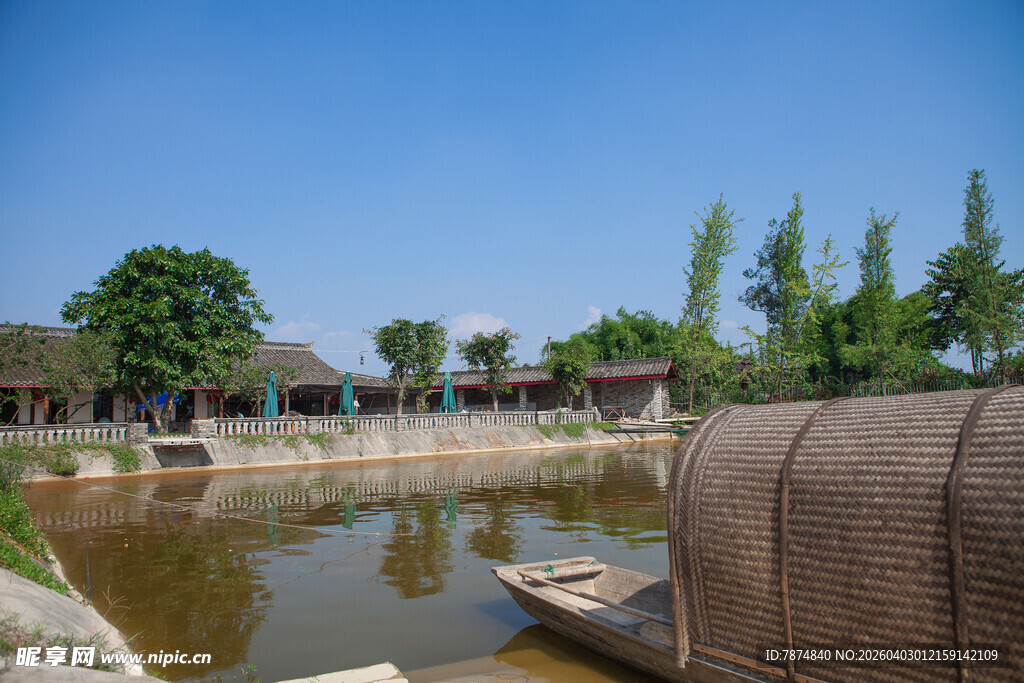 乡村池塘边的宁静景致