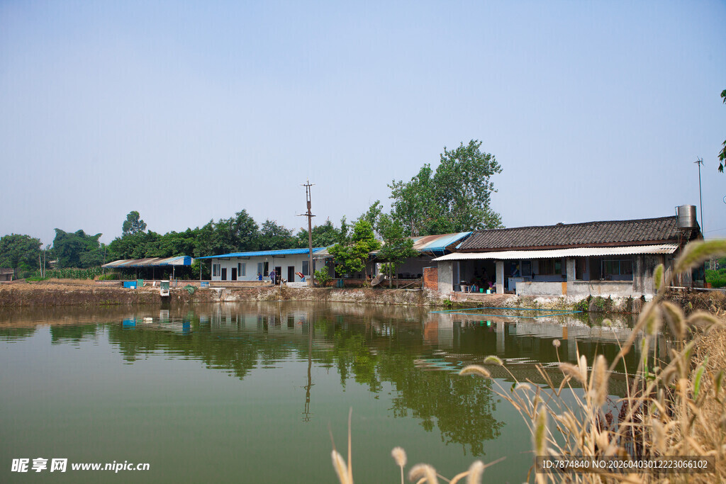 乡村水边景致