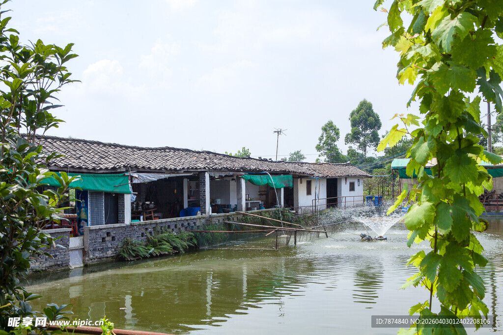 水乡古宅畔的清幽池塘