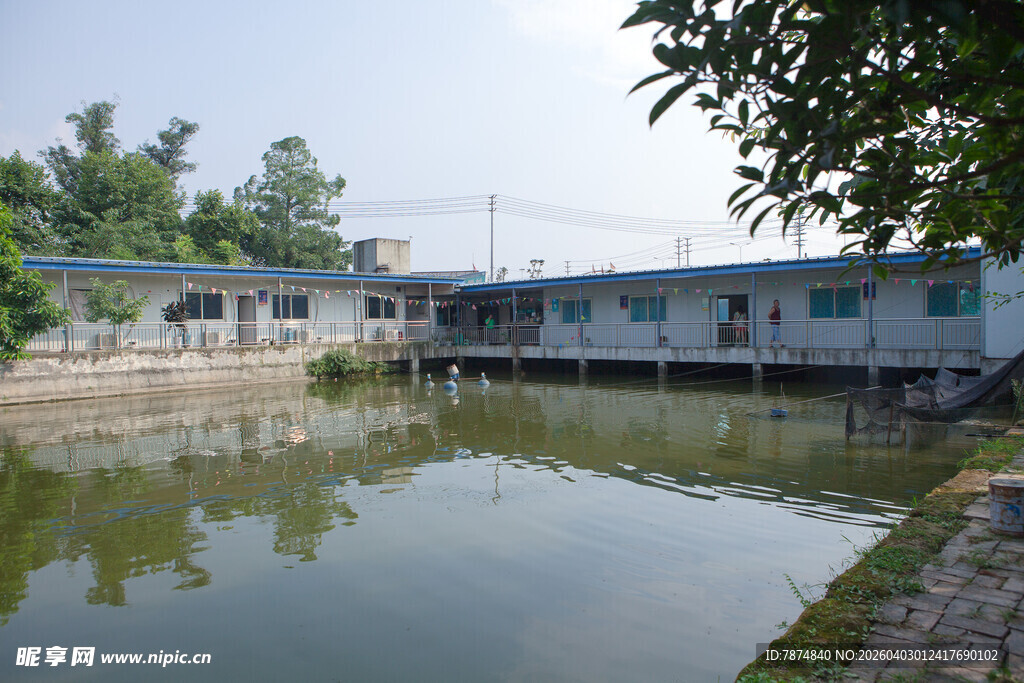 乡村池塘边的蓝顶房屋