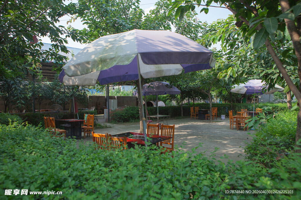 户外庭院遮阳伞休闲场景