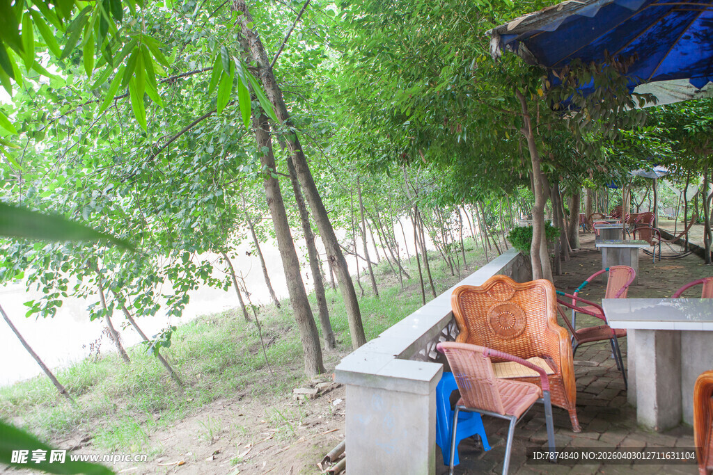 户外树林中的休闲场景