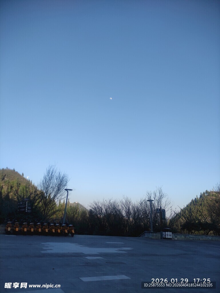 冬日冰封湖面与岸边树木