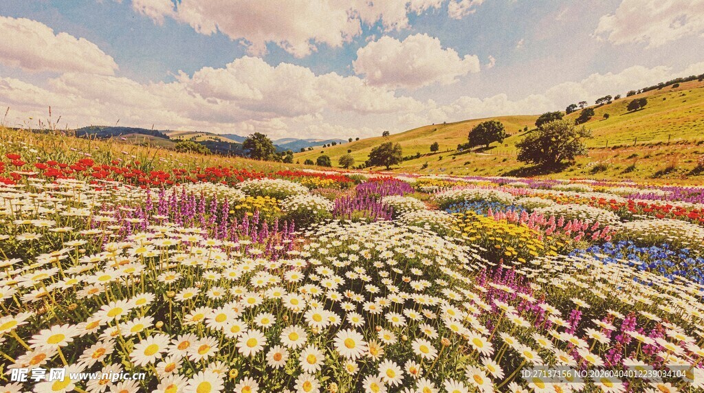 五彩花海田园风光美景