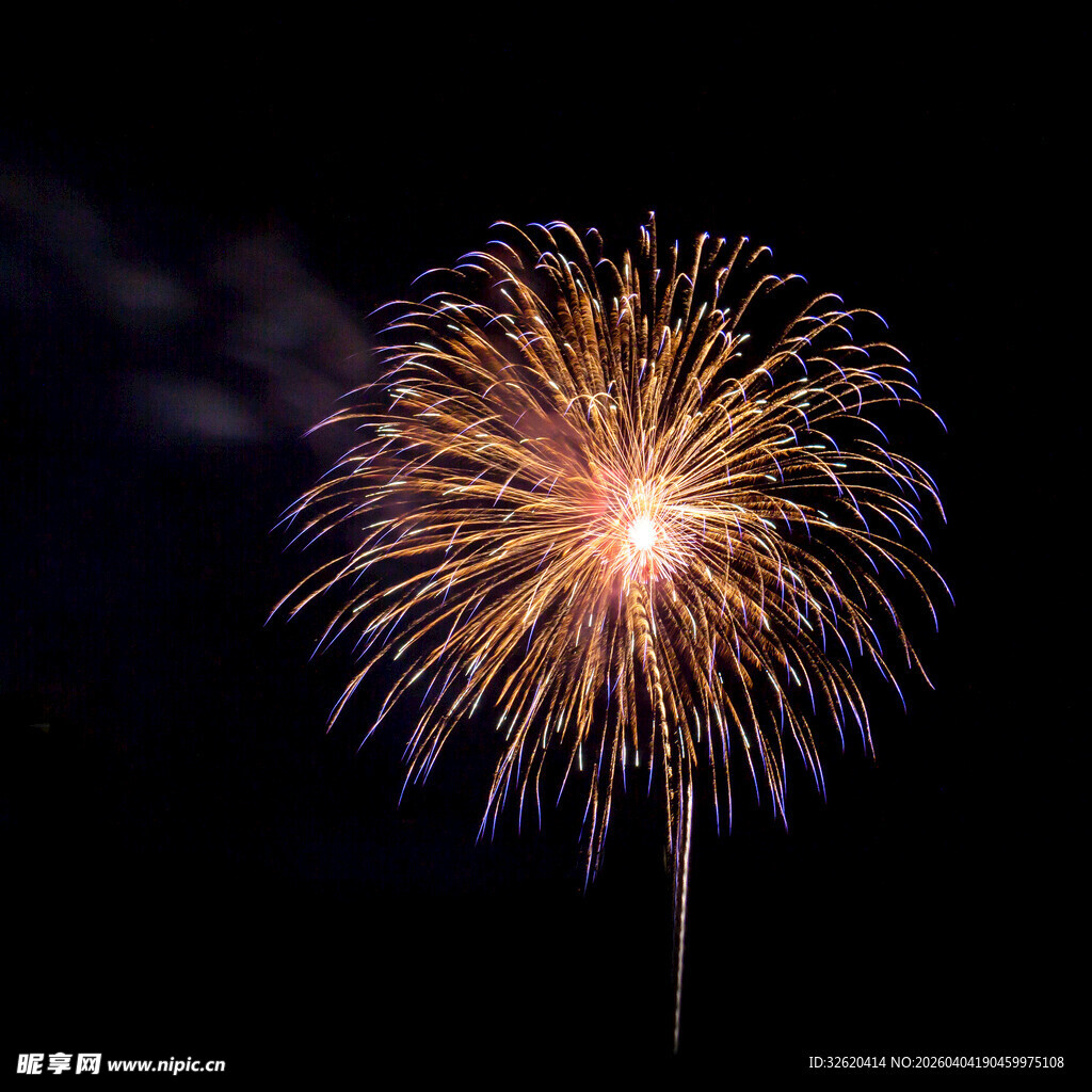 夜空中绽放的绚烂烟花