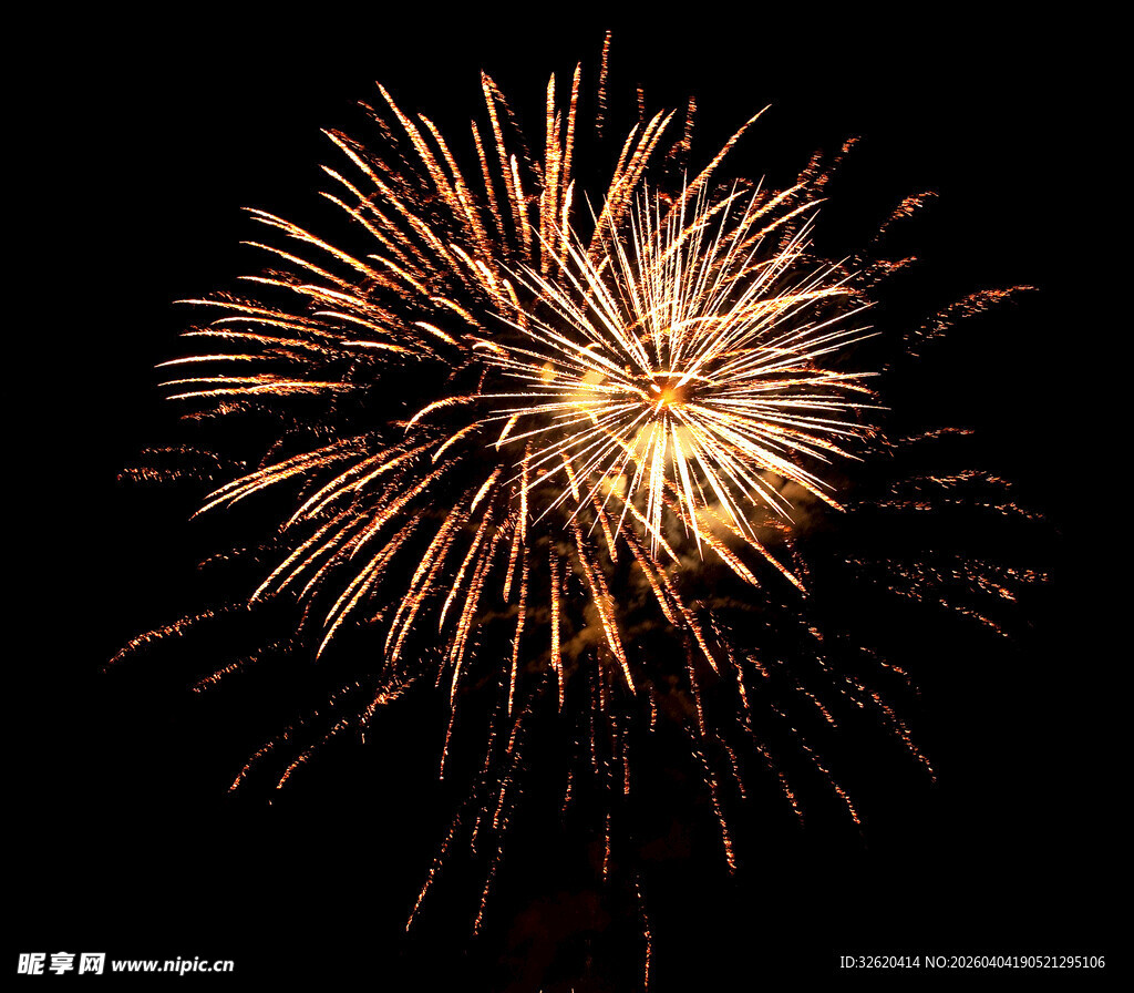 夜空中绽放的绚烂烟花