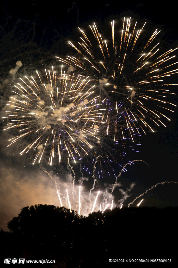 夜空中绚烂的烟花绽放