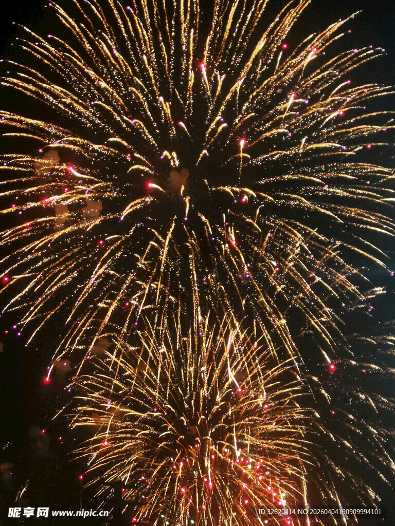 夜空中绚烂的烟花绽放